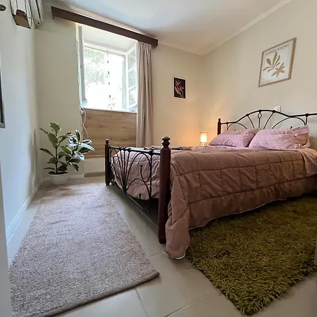Nonas House Дом отдыха *